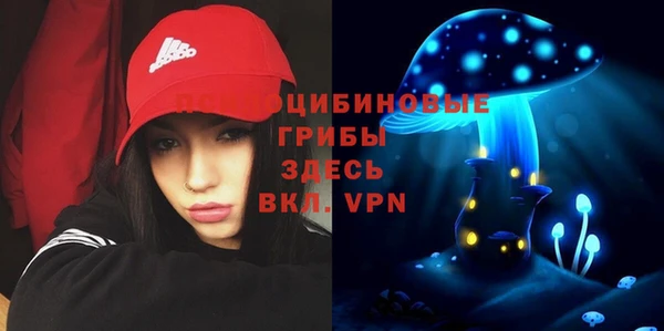 соль курить ск Арсеньев